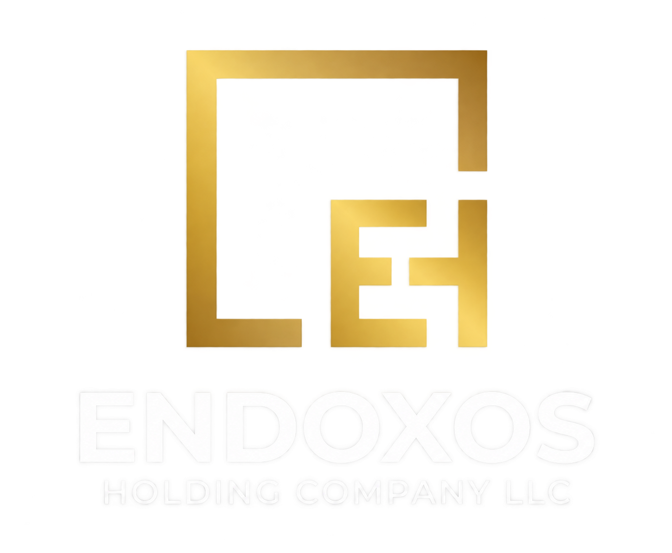 Endoxos Holding Company LLC